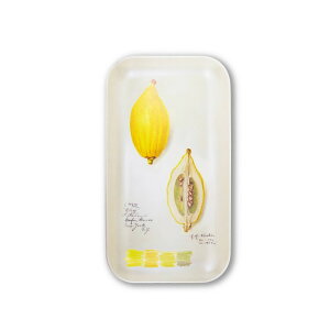 Alibabette Aoxbg@~g[y[֗p\z [ g[ fUC tX p Mtg CpNg Ռ   _CjO rO  ]