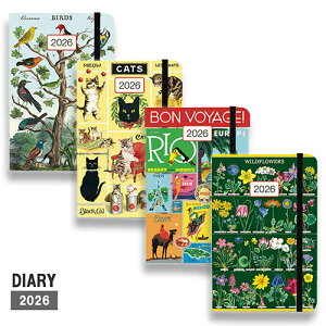 2026蒠 CAVALLINI Jo[j EB[N[vi[ [ XPW[ _CA[ g NVJ CeA  ]