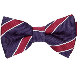 lN^C qp {E^C XgCv lCr[u[ x[X Cbh XgCv bt201902_11