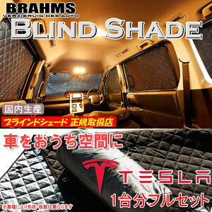 eX fS TSLA BRAHMS uChVF[h ytZbgz { K戵X TVF[h J[TVF[h ԗpTVF[h VF[h u[X