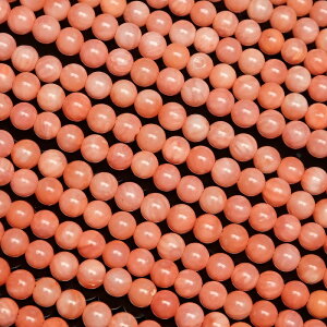 sNR[iXj ۋ 3mmy1A̔z R[ X Coral 3̒a EhJbg A VR r[Y p[Xg[ p[c ANZT[ f ޗ