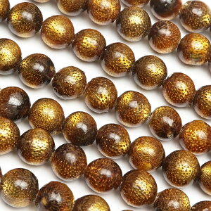 S[hR[iXjۋ 6mmy1A̔z R[ X Coral 3̒a Eh ۃr[Y A VR r[Y p[Xg[ p[c ANZT[ f ޗ