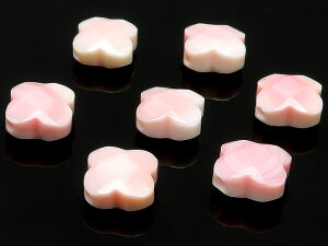 y̔zNC[RNVF N[o[Jbg 10mmy4̔z RNL sNKC Queen conch shell  VR r[Y p[Xg[ p[c ANZT[ f ޗ