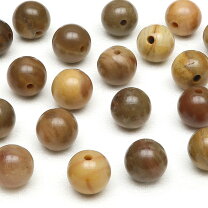 楽天市場】ペトリファイドウッドの通販 