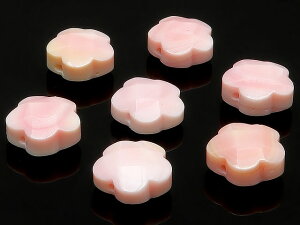 y̔zNC[RNVF t[Jbg 10mmy5̔z RNL sNKC Queen conch shell  VR r[Y p[Xg[ p[c ANZT[ f ޗ