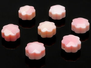 y̔zNC[RNVF t[Jbg 8mm No.2y5̔z RNL sNKC Queen conch shell  VR r[Y p[Xg[ p[c ANZT[ f ޗ