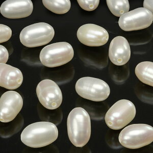 y̔zW^ p[ CX 7×5mmy6̔z {^ Wp[ p[ Pearl 6̒a ic  VR r[Y p[Xg[ p[c ANZT[ f ޗ