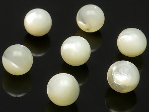 y̔zI[XgAY zCgVF ۋ 8mmy12̔z Vo[bv L ^L Shell Eh ۃr[Y  VR r[Y p[Xg[ p[c ANZT[ f