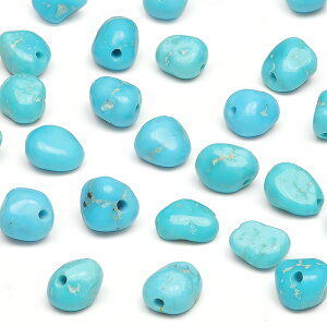 y̔zA]iY X[sOr[eB[^[RCY iQbg 5`6mmy3̔z ^[RCY XJCXg[ gR Turquoise 12̒a ^u  VR r[Y p[