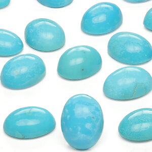 A]iBLO}Y ^[RCYiLO}^[RCYj I[o J{V 9×7mmy2R̔z ^[RCY XJCXg[ gR Turquoise 12̒a [X  VR r[