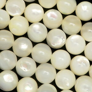 I[XgAY zCgVF ۋ 8mmy1A̔z Vo[bv L ^L Shell Eh ۃr[Y A VR r[Y p[Xg[ p[c ANZT[ f ޗ