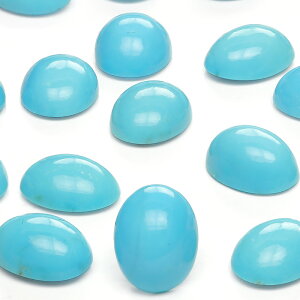 A]iBLO}Y ^[RCYiLO}^[RCYj I[o J{V 9×7mmy2R̔z ^[RCY XJCXg[ gR Turquoise 12̒a [X  VR r[