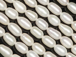 W^ p[ CX 5`7mmy1A̔z {^ Wp[ p[ Pearl 6̒a ic A VR r[Y p[Xg[ p[c ANZT[ f ޗ