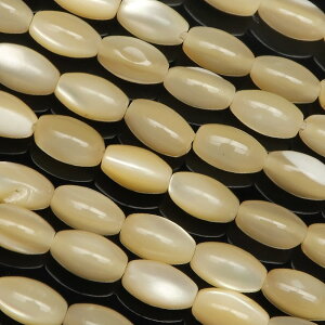 }U[Iup[ x[W CX 6×4mmy1A̔z VF ^L MOP Mother of pearl ic A VR r[Y p[Xg[ p[c ANZT[ f ޗ