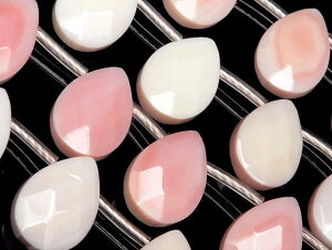 NC[RNVF yAVFCvJbg 14×10mm RNL sNKC Queen conch shell   A VR r[Y p[Xg[ p[c ANZT[ f ޗ