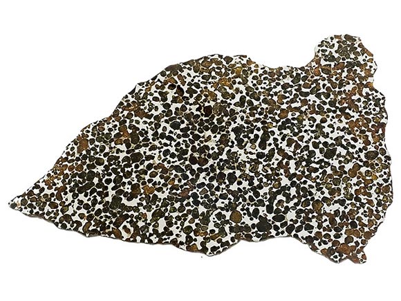 卸売 パラサイト セイムチャン隕石 プレート310×210mm