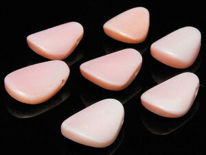 y̔zNC[RNVF [t 11`13mmy3̔z RNL sNKC Queen conch shell  VR r[Y p[Xg[ p[c ANZT[ f ޗ