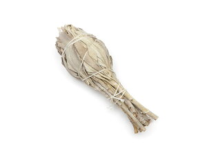 JtHjAY zCgZ[W Sy1R̔z Z[W Whitesage _   n[u A i VR r[Y p[Xg[ p[c ANZT[ f ޗ