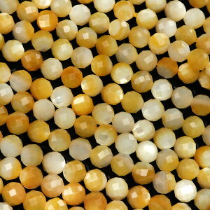 CG[VF 32ʃJbg ۋ 4mmy1A̔z S[hbv L Shell EhJbg ɏr[X A VR r[Y p[Xg[ p[c ANZT[ f ޗ