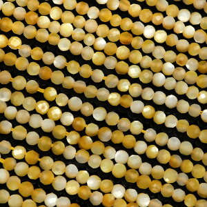 CG[VF ʃJbg ۋ 2mmy1A̔z S[hbv L Shell EhJbg ɏr[X A VR r[Y p[Xg[ p[c ANZT[ f ޗ