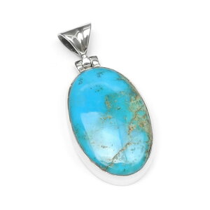 A]iY X[sOr[eB[ y_ggbv No.4y1_́z ^[RCY XJCXg[ gR Turquoise 12̒a y_g Vo[ VR r[Y p[Xg[ p