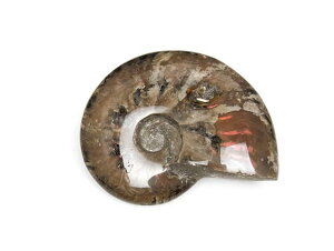 }_KXJY AiCg  No.11y1_́z