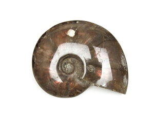 }_KXJY AiCg  No.13y1_́z