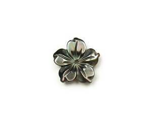 ubNVF t[ 12mm typeBy1R̔z ubNbv L ^L Shell    VR r[Y p[Xg[ p[c ANZT[ f ޗ