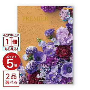 y13܂œ yjOKzJ^OMtg  2iIׂ PREMIER (v~G) A~] j Vzj oYj j Cj o MtgJ^O 2Iׂ  