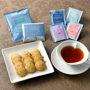 WEDGWOODiEFbWEbhj VOj`[A\[g [NWA25] j j jԂ av[g ajMtg Ԃ v[g j j Mtg wj Ԃ 2025