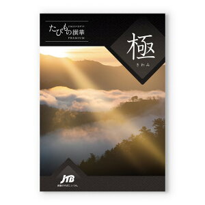 y13܂œ yjOKz JTB т̐ J^OMtg Premium ()  j j Vz j MtgJ^O yA s S kC   10~R[X