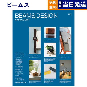 y13܂œ yjOKz BEAMS DESIGN CATALOG GIFT SKY r[X XJC J^OMtg  j j Vz oY j C j av[g MtgJ^O Y R