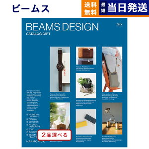y13܂œ yjOKz 2iIׂ BEAMS DESIGN CATALOG GIFT SKY r[X XJC J^OMtg  j j Vz oY j av[g aj TԂ MtgJ