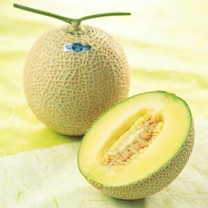 ANA's FRESH GIFT NE wj Ԃ j j jԂ av[g aj Mtg i t[c ʕ  Zbg  2025 Ε Ε 