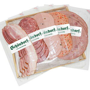 SCHOENDORF VF[htEin \[Z[Wx[RZbg SDC-402s j j Ԃ o j oYj j oYj j j jԂ a