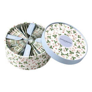 WEDGWOODiEFbWEbhj Ch Xgx[ eB[obO [WSN-36P] j j jԂ av[g ajMtg Ԃ v[g j j Mtg wj 