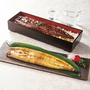 Y VāEăZbg wj Ԃ j j jԂ av[g aj Mtg i p O V ΏĂ Ȃ Y  yp y