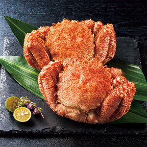 kCY{CтɎp1.6kg wj Ԃ j j jԂ av[g aj Mtg i CN Zbg  Jj I  2025