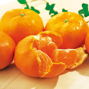 ]̓ B݂y͂ԁF11{`1{z