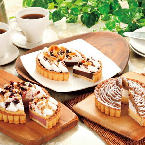 RXEiM_e 3̃`[Y^gZbg / `R[g^g 䕁ij̃^g C^AĨu^g ANA fU[g O O  S OMtg