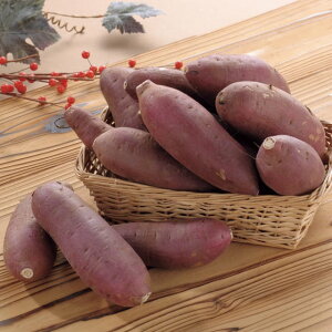 tE錧Y g͂邩y͂ԁF11{`1{z/ ܂ Tc}C ANA fU[g ܂ O  S OMtg