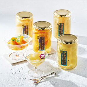 ANA FINDS Hʏ`R|[gZbg / R|[g j[sI[lR|[g VC}XJbgR|[g RR|[g O  S OMtg Ε N