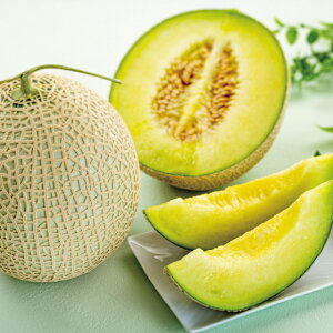 F{Y}XNy͂ԁF11{`12{z