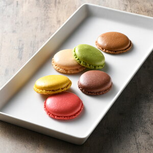 DALLOYAU _C }JXNl 8 Mtg j j jԂ av[g aj O XC[c v[g Mtg wj Ԃ 2025 Ε 