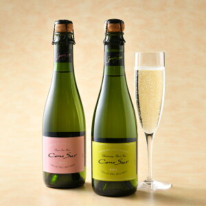 ubg[ n[t{gZbg^ RmX CEVp Vp Champagne Vhl Vzj j Ԃ 2000~ 2025 Ε Ε ~Mtg