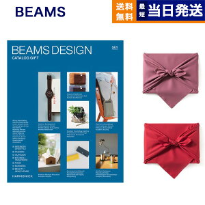 BEAMS DESIGN CATALOG GIFT SKY yC~݁z j j jԂ av[g ajMtg v[gMtg wj Ԃ 2025 Ε Ε ~Mtg