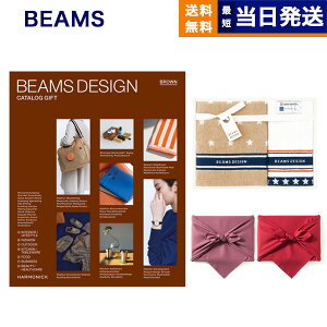 BEAMS DESIGN CATALOG GIFT BROWN{tFCXEEHbV^IZbgyC~݁z j j jԂ av[g ajMtg v[gMtg wj Ԃ 2025 Ε 
