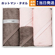 Hotman ホットマン 1秒タオル カラーシリーズ バスタオル ・ ハンドタオル各2枚セット ブラウン×ピンク …