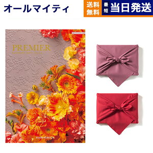 y13܂œ yjOKz J^OMtg  PREMIER (v~G) }jtB[N j Vzj oYj j Cj o MtgJ^O  9000~R[X 