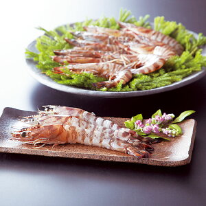 ANA's FRESH GIFT YⓀԊCV 4pbN wj Ԃ j j jԂ av[g aj Mtg i CN Zbg  2025 Ε Ε ~Mtg